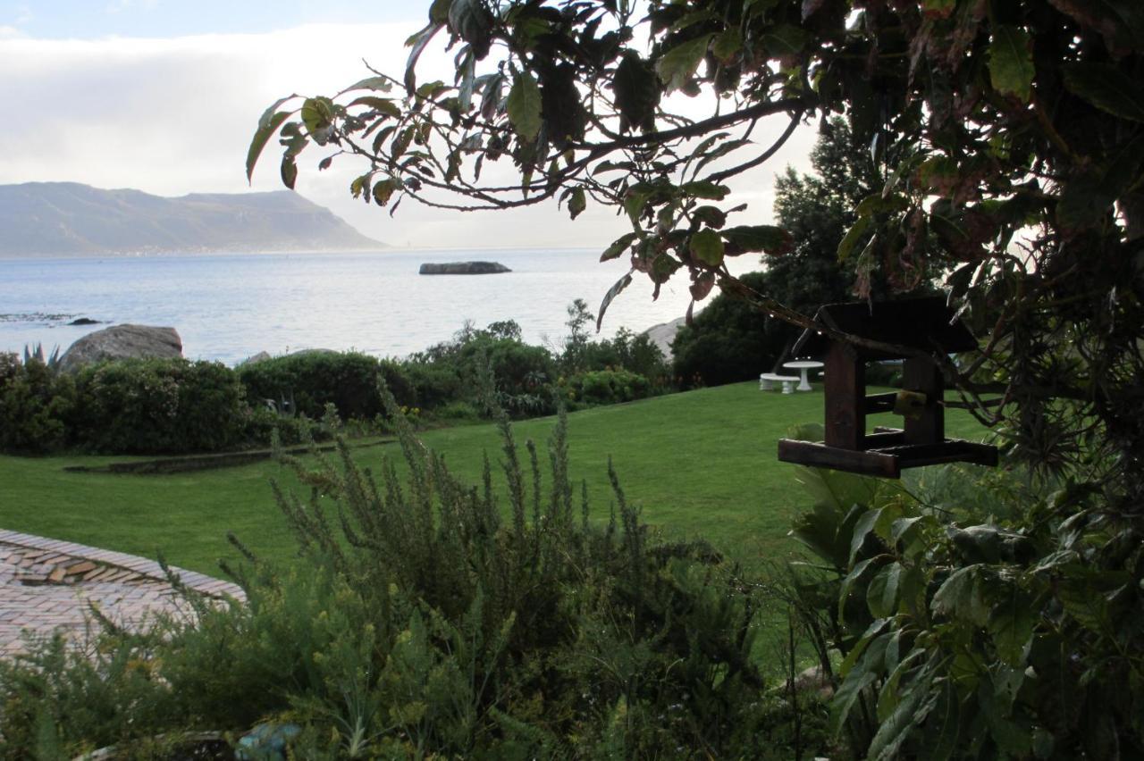 Bosky Dell On Boulders Beach Simonʼs Town Εξωτερικό φωτογραφία