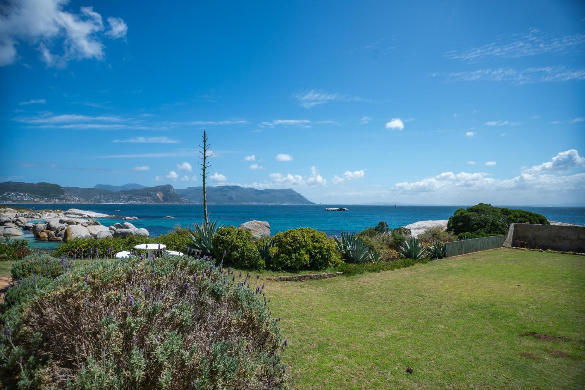 Bosky Dell On Boulders Beach Simonʼs Town Εξωτερικό φωτογραφία